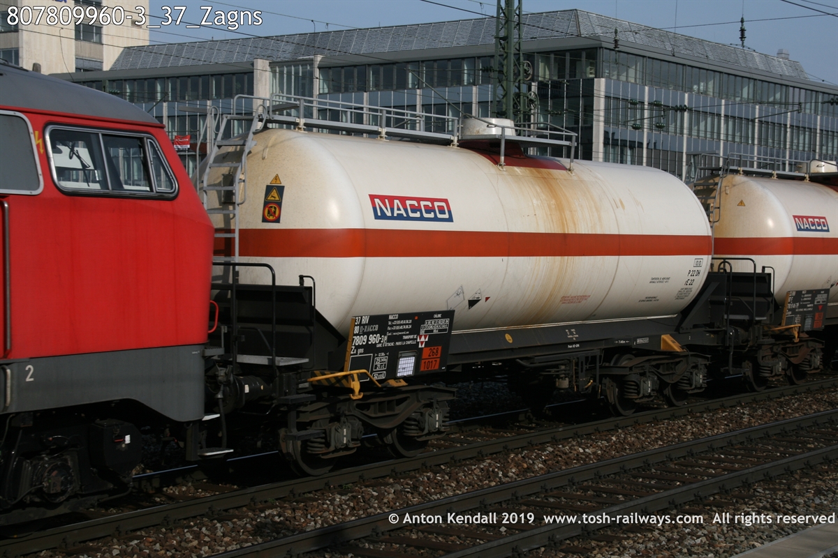 807809960-3_37_Zagns.JPG